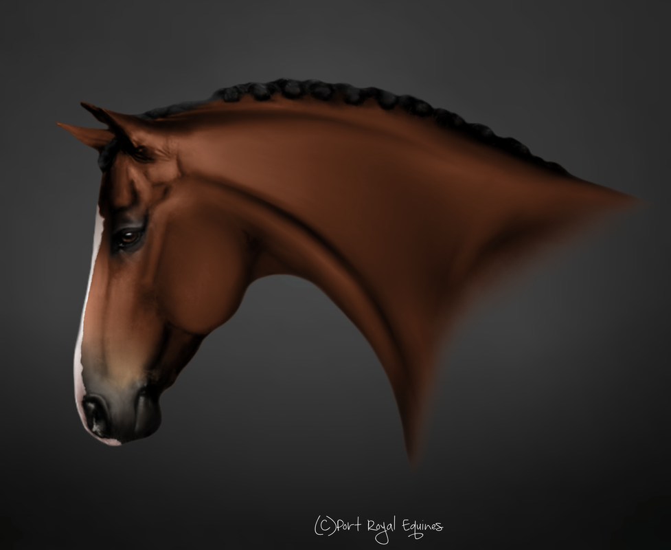 Untitled213-Restored9-20250121213608.png