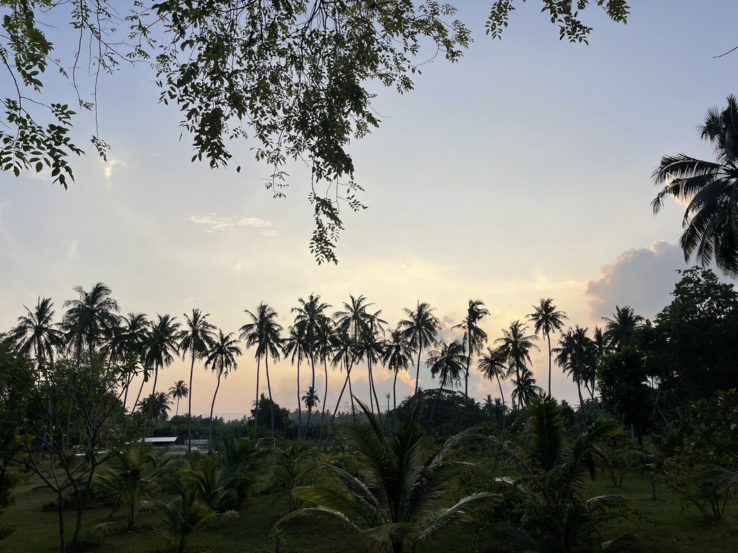 09C7961C-7EF6-4F9B-B04F-317FC2235284