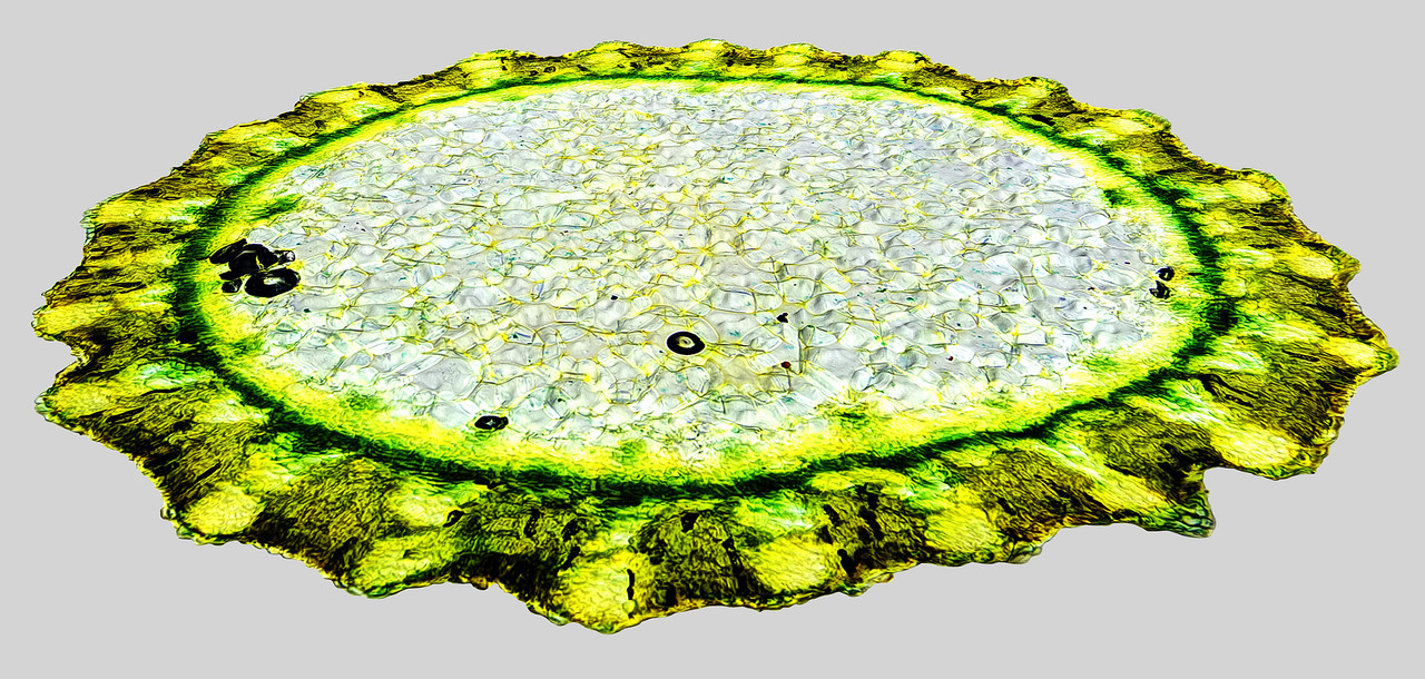 3D TPnd 3500px