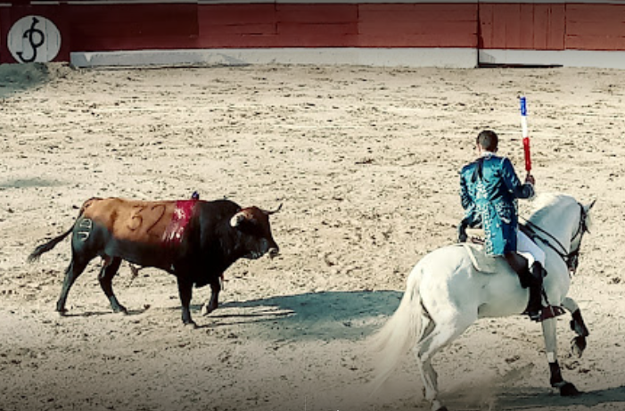 Sheinbaum propone consulta para discutir corridas de toros en la CDMX