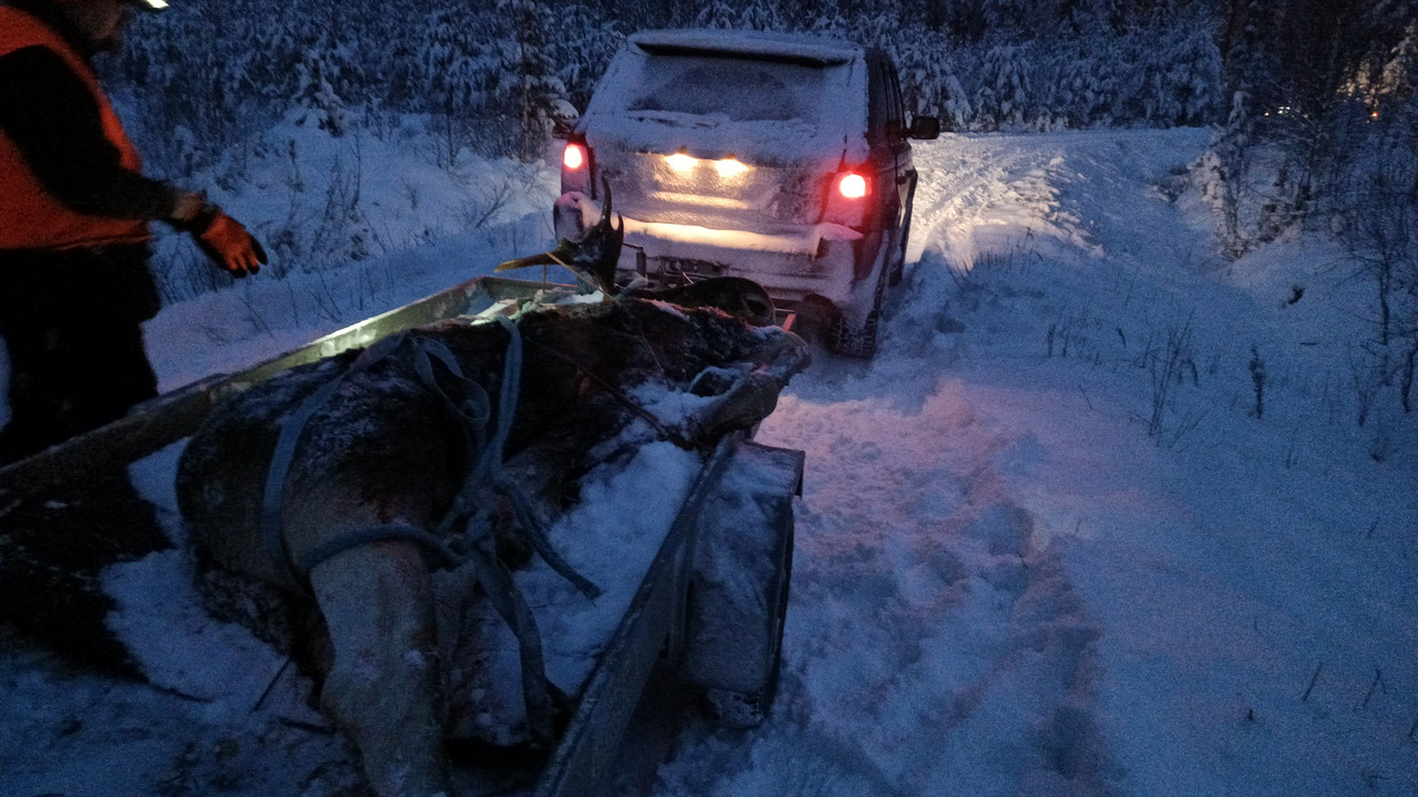 IMG-20221210-WA0007