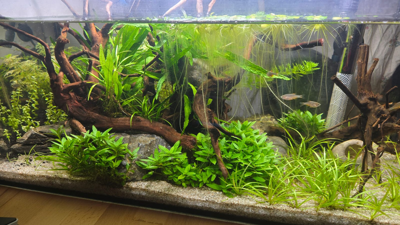 Whats App Image 2025 12 09 at 19 05 10