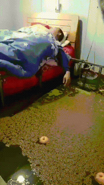 1648171150041.gif