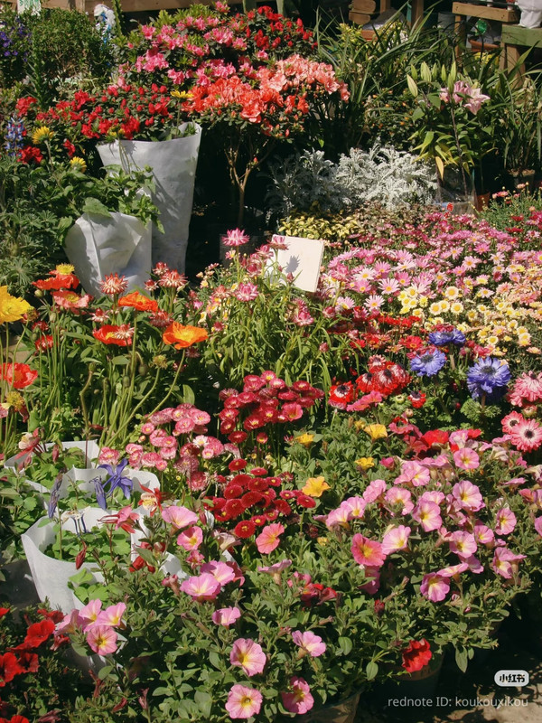 photo 16 2025 12 14 22 34 27