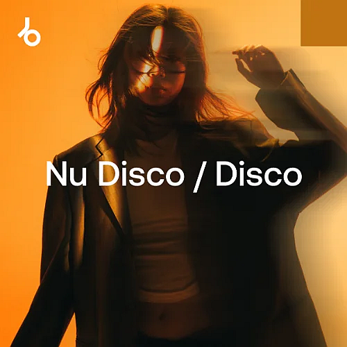 The Nu Disco - Disco Shortlist January (2025)