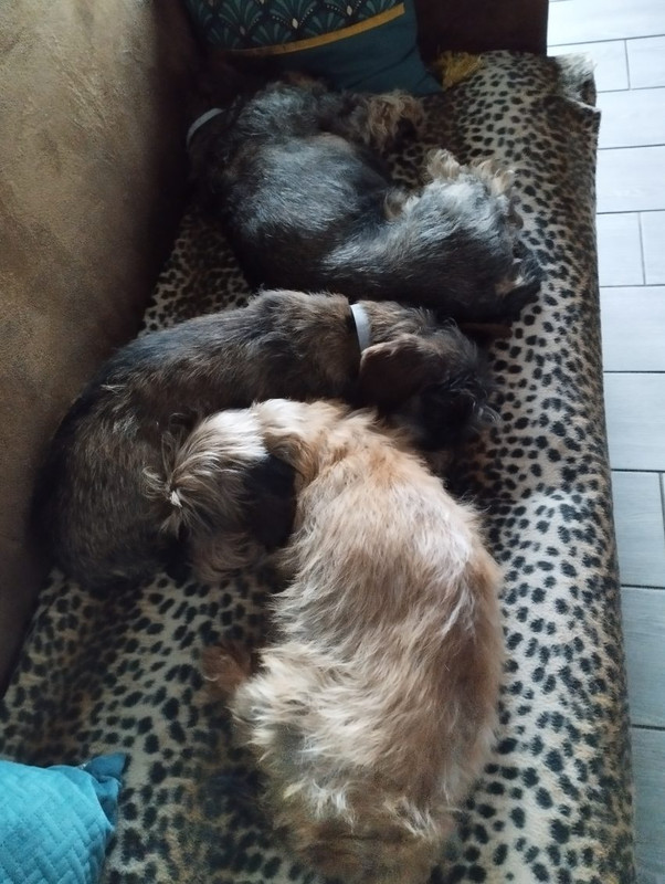 [Image: IMG-20250504-104142.jpg]