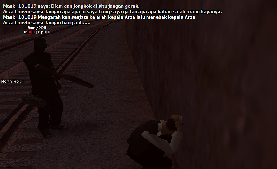 ss13.png
