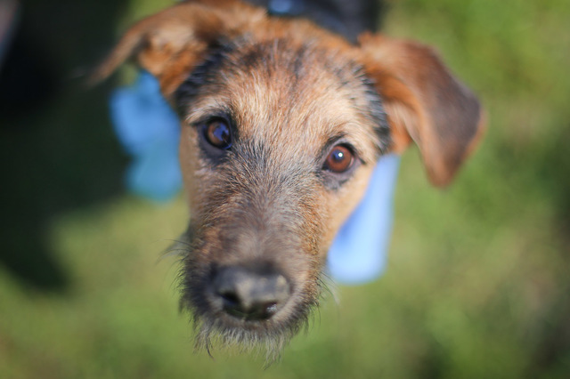 07_эгида_zam_tutby_phsl