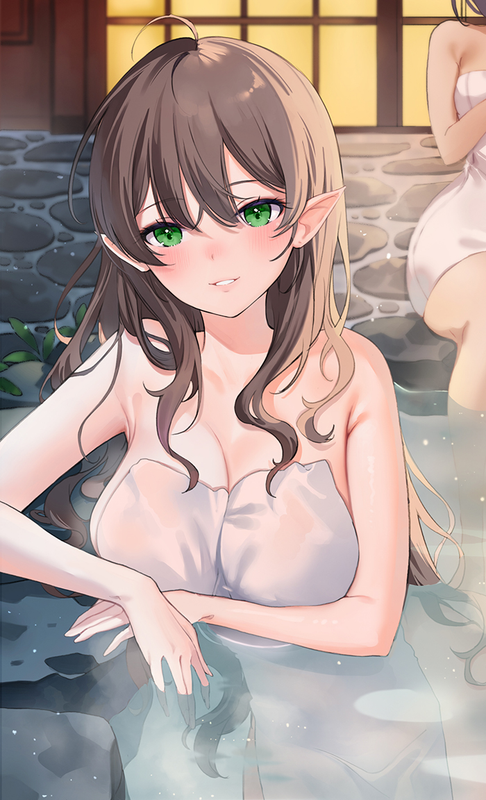 Hot Springs Draco