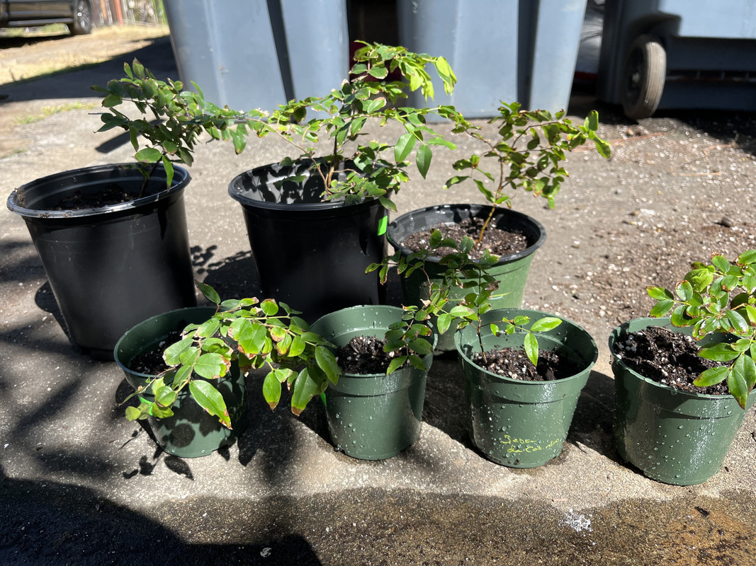 0DEEEC12-4E46-4DF3-90A3-67A5E0B7F3AF