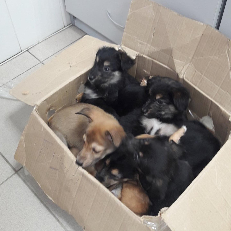 27E05BD3-3C0C-449B-AB8E-0FE0C5D71D7A