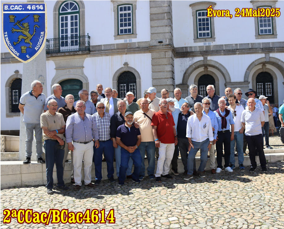 2-CCac-BCac4614