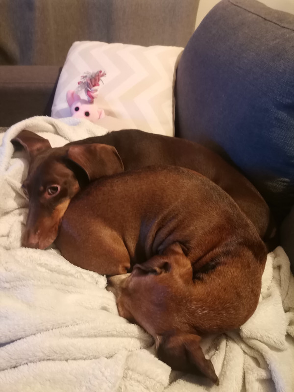 [Image: IMG-20221206-224243.jpg]