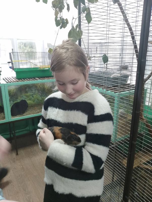 изображение_viber_2024-02-06_10-38-47-823