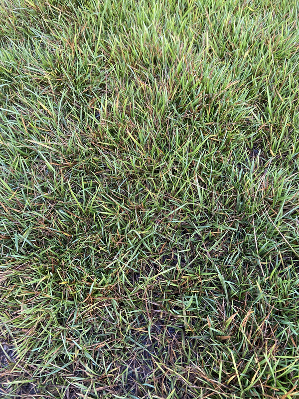 577934C2-FCDD-43FC-BA97-F124054F9271