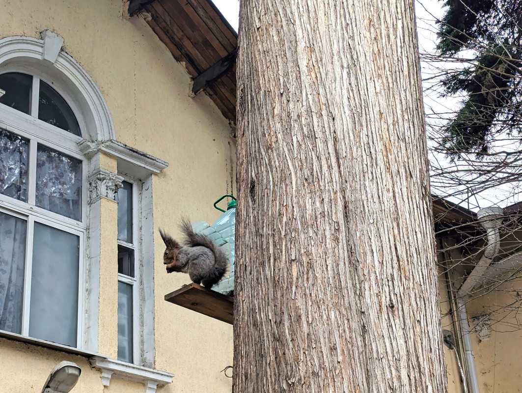 PXL_20250326_082940250