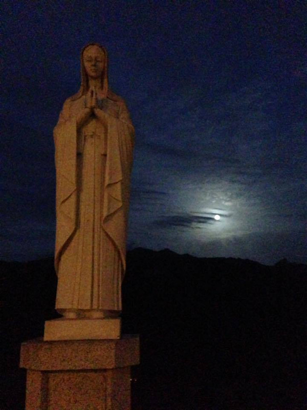 6E63BA26-D50F-4DF2-B624-7776E2BB2A3A