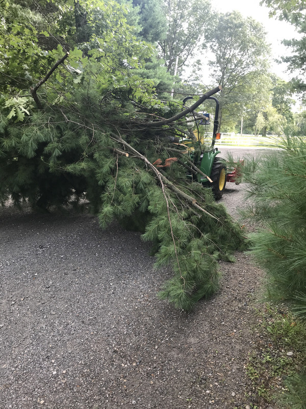 905D6E34-97AE-4B41-8582-A2F54AD65F7B