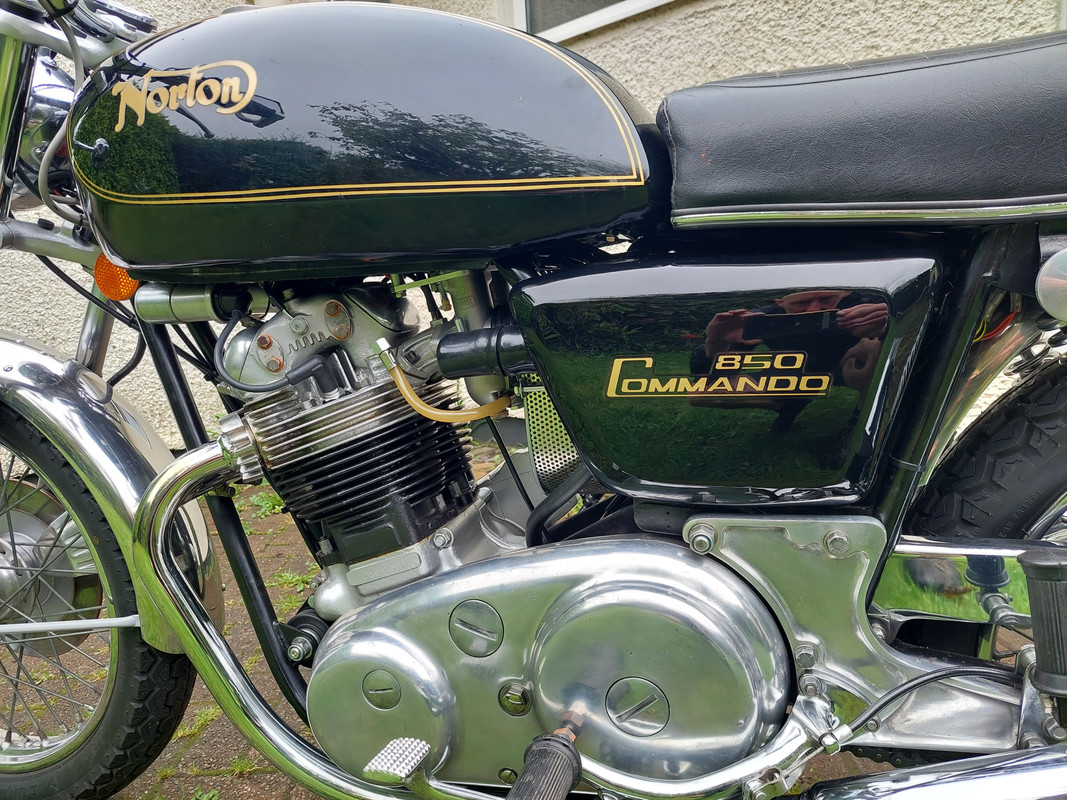 What Did You Do With Your Commando Today?
