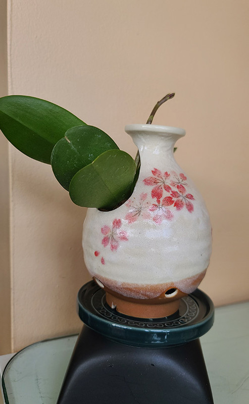 [Image: 20241114-105523.jpg]