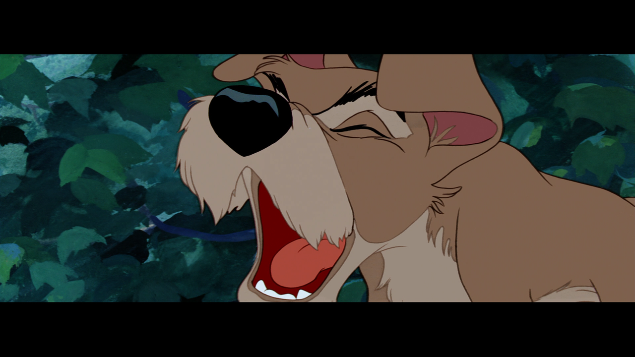 lady_and_the_tramp_24