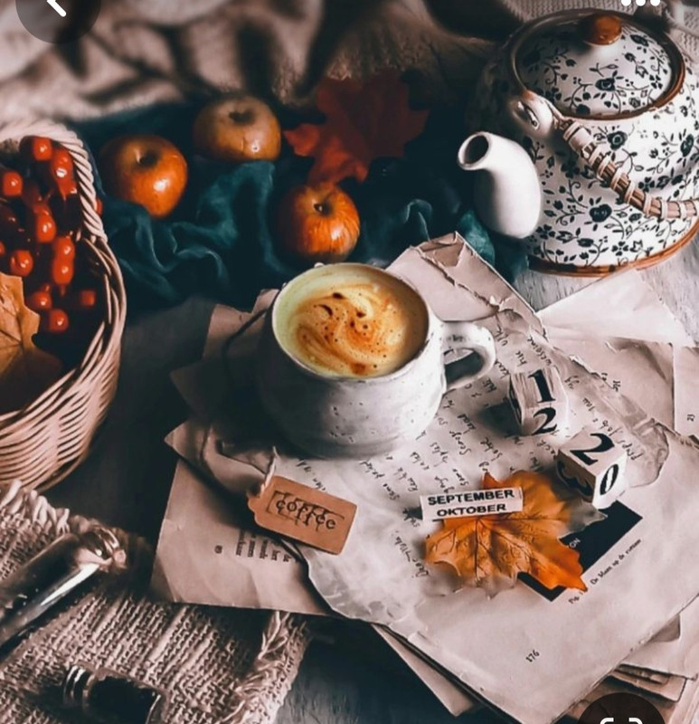 Screenshot_20230909_233138_Pinterest