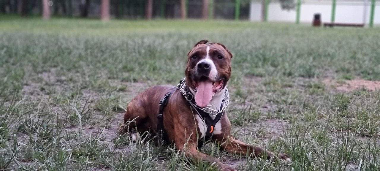 E23C35D1-598C-4496-84E4-217D14875C15