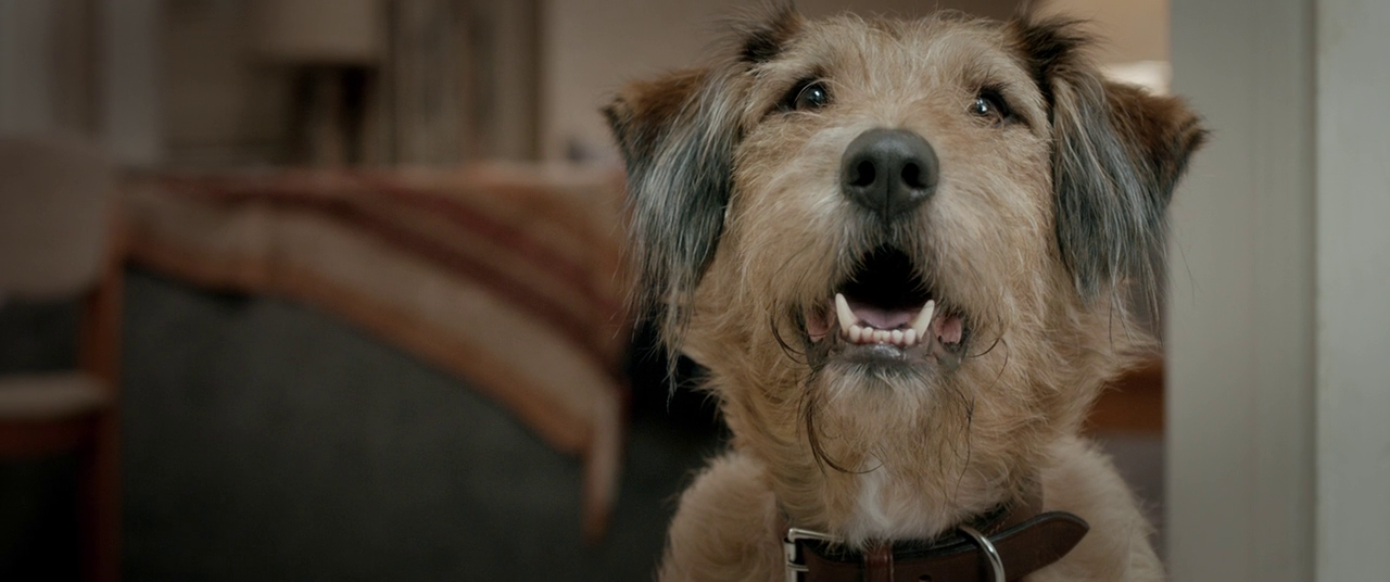 vlcsnap_2015_12_02_15h31m25s161