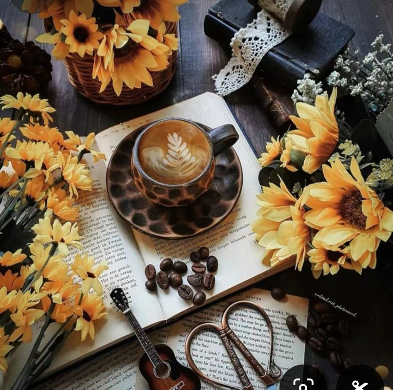 Screenshot_20240628_223319_Pinterest