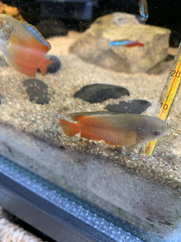 217494D2-5EE2-4F3B-A6EC-3EE8C07AF877