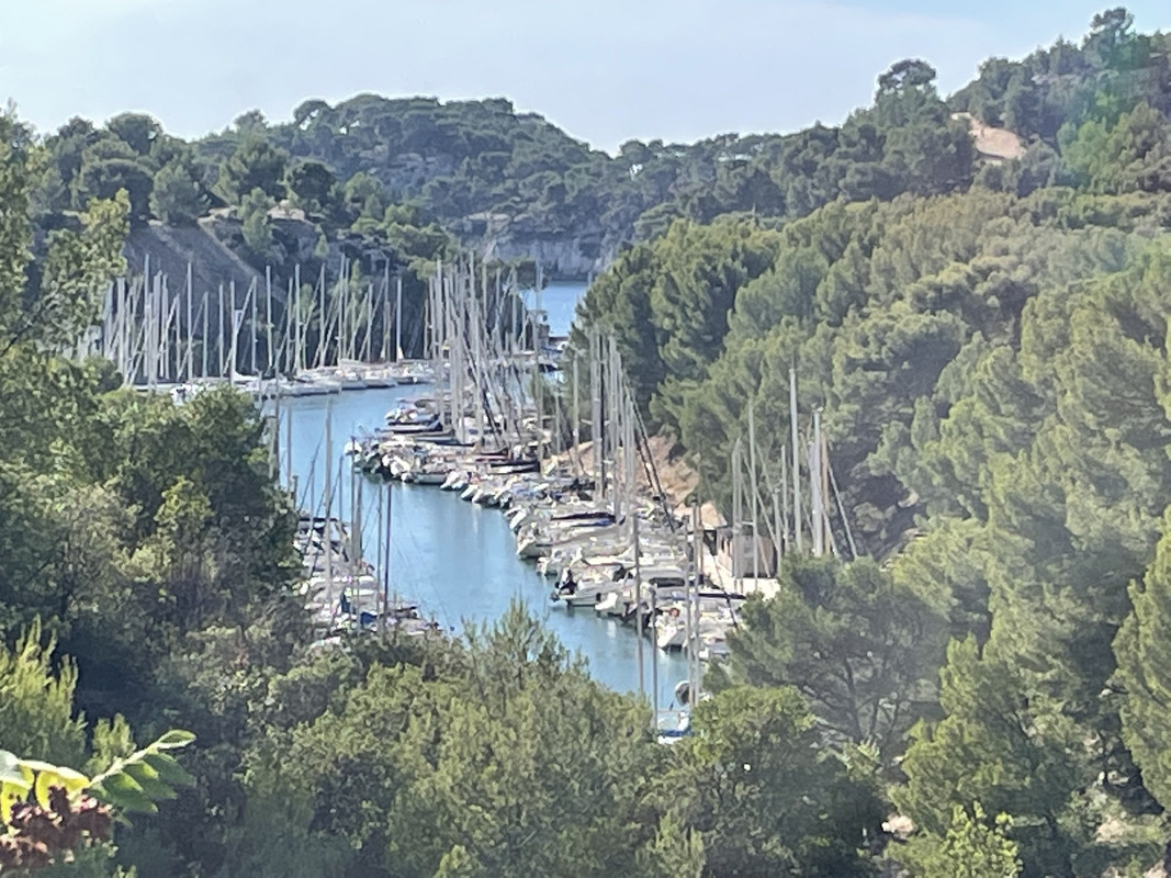 F0319BD8-F5A8-4511-BE0C-C5EBD93883B1