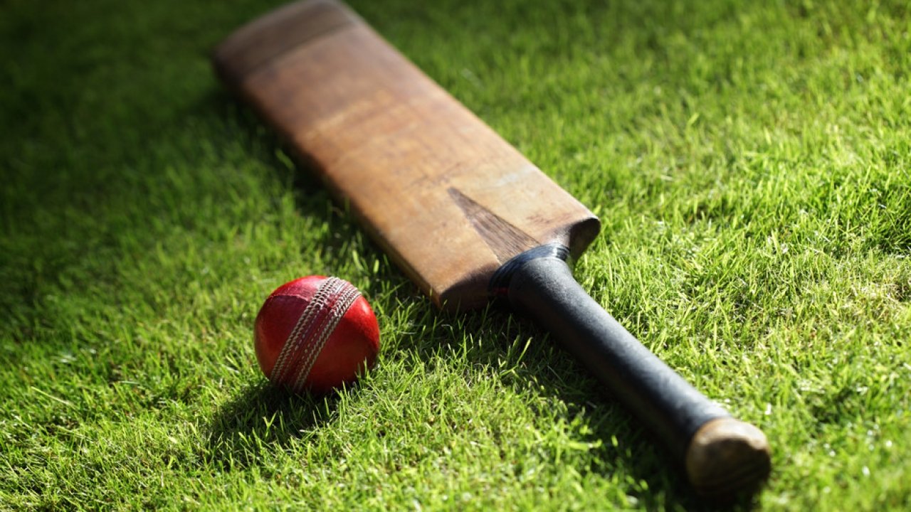 Cricket