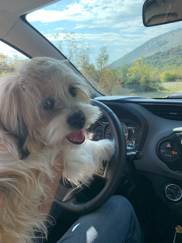 32367C48-F449-41BA-AF24-DCCC10D4208F