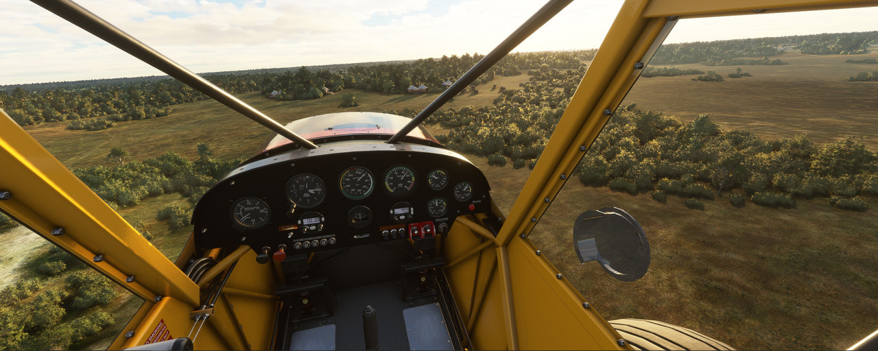 Savage-Cub-10.jpg