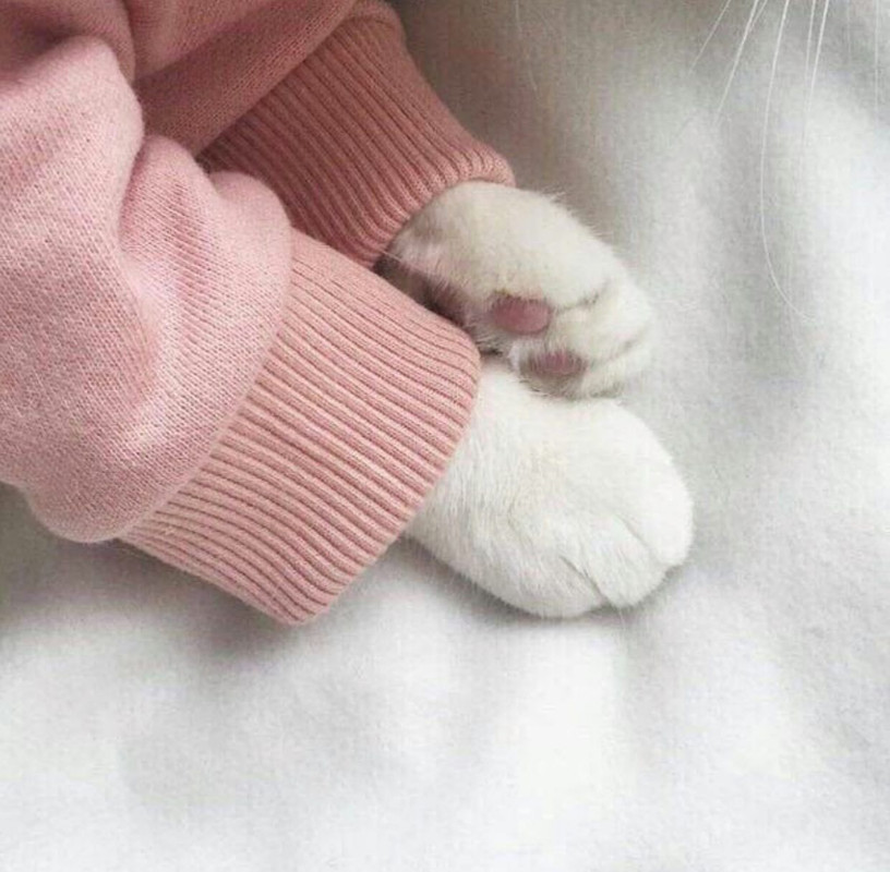 4920CEE9-3B03-4C99-A177-3DCC5F527528