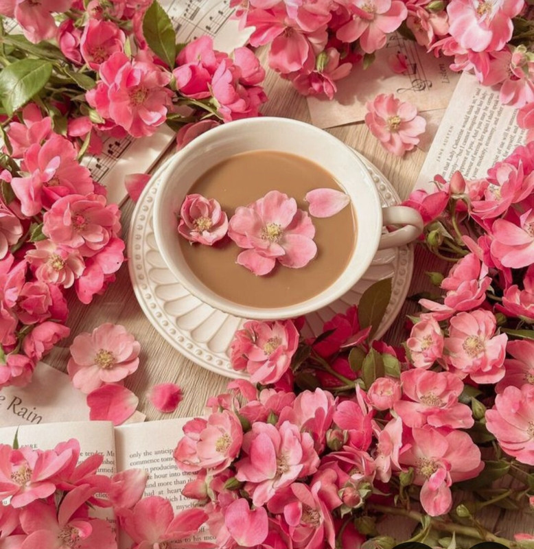 Screenshot_20240722_213737_Pinterest