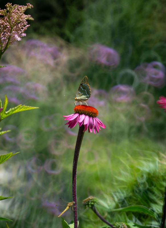 IMG-4a61fa5c23701bc8836055c0b249f3df-V