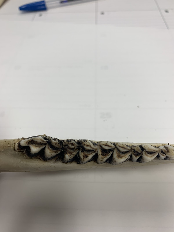 6EBA8BE1-FDE9-4C98-BA58-9DA731E65A34