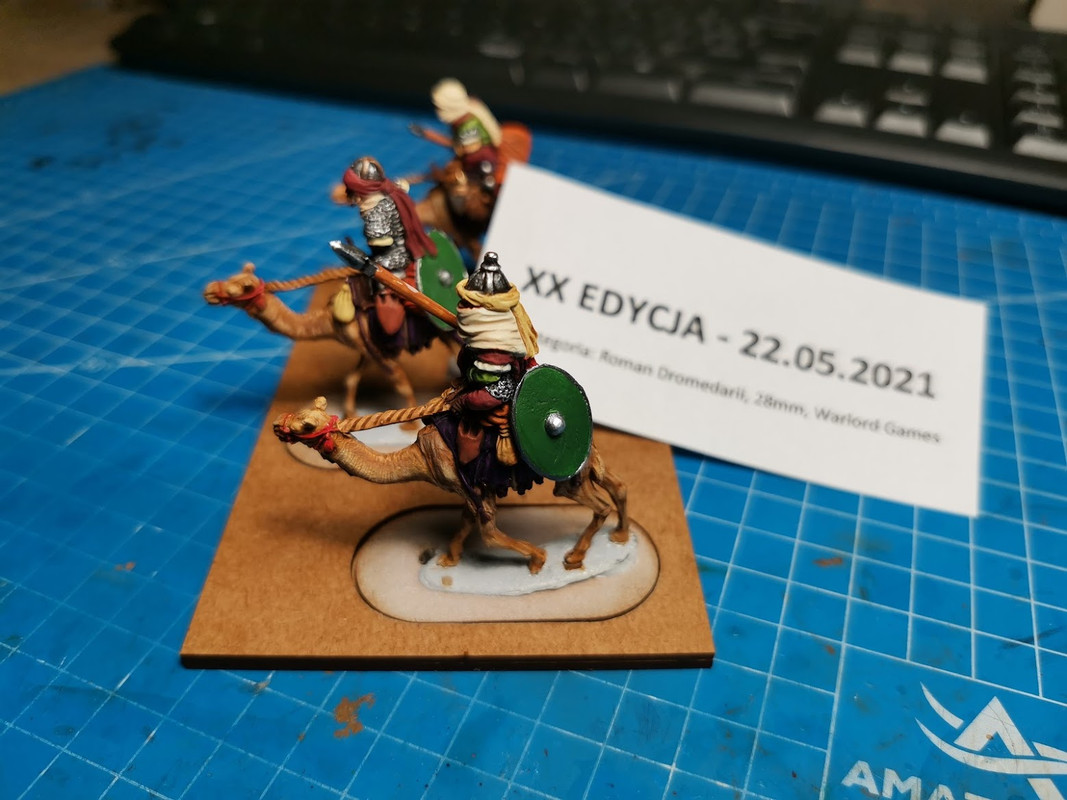 Dromedarii
