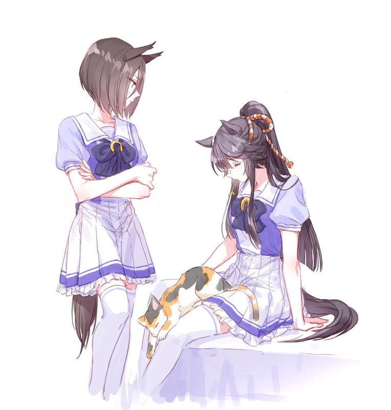 air-groove-and-narita-brian-umamusume-drawn-by-romi-346-ura-39c669839a39b3f4d50ccac2d05dc8cd-1