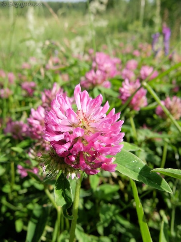 DSCF9469