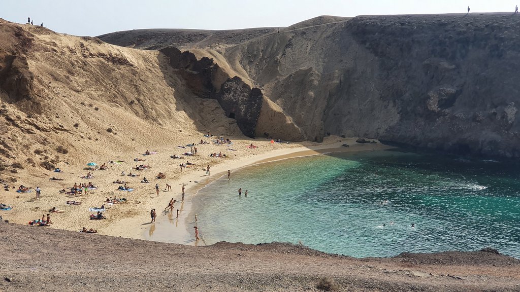 TIMANFAYA, ECHADERO DE CAMELLOS Y PLAYAS DEL PAPAGAYO: la galaxia de las playas - Lanzarote: pisar la Luna sin dejar La Tierra (9)