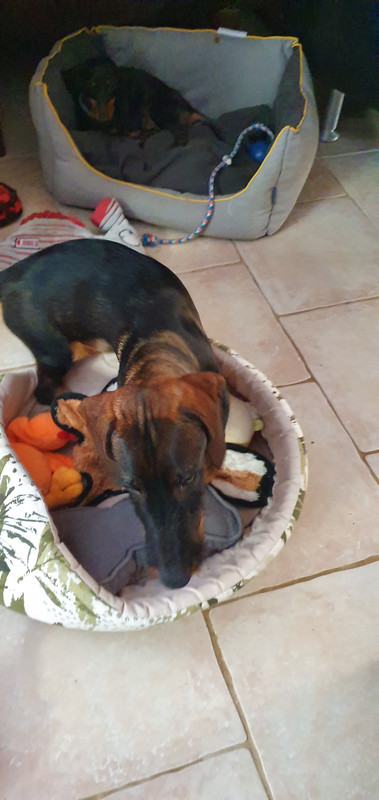 [Image: 20221125-140955.jpg]