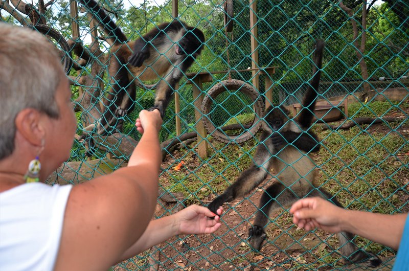 ISLA DE ROATAN-13-9-2017-HONDURAS - Crucero caribeño con MSC OPERA-Septiembre-2017 (41)