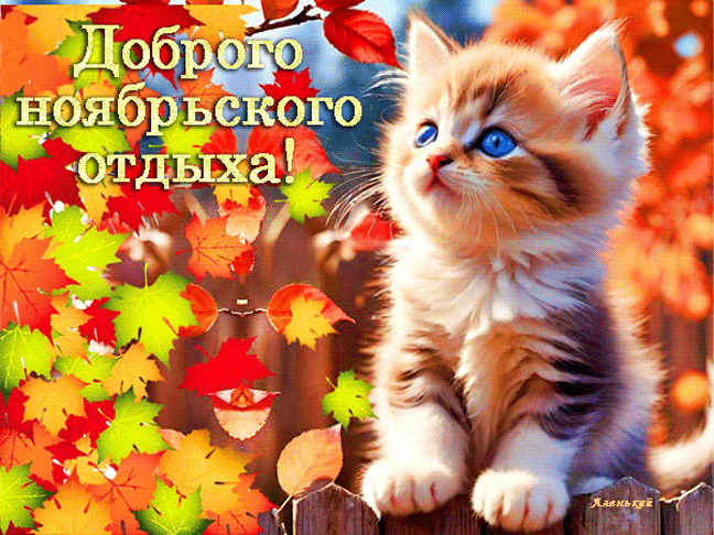 Dobrogo noabrskogo otdyha