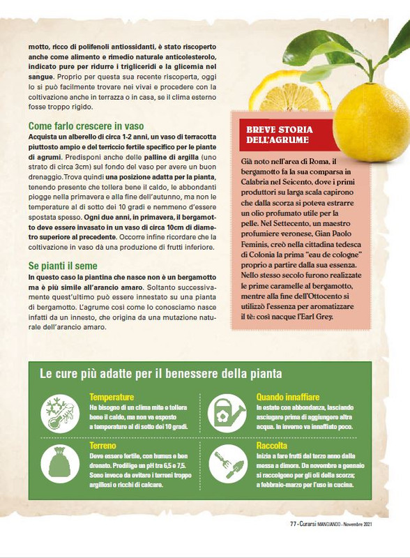 Cur Mang Nov 2021 (10)