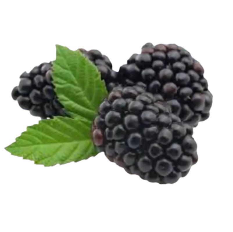 fruit6
