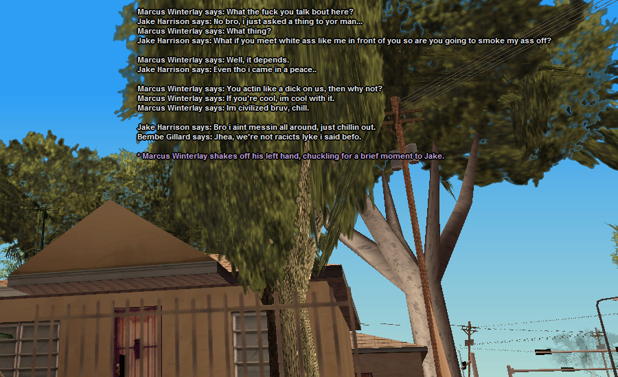 RACI-1.png