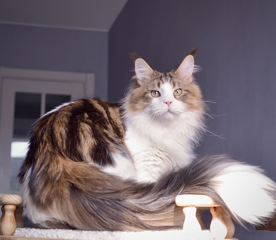 6E8DE6D2-0CE6-46BC-A883-6B7225FA2627