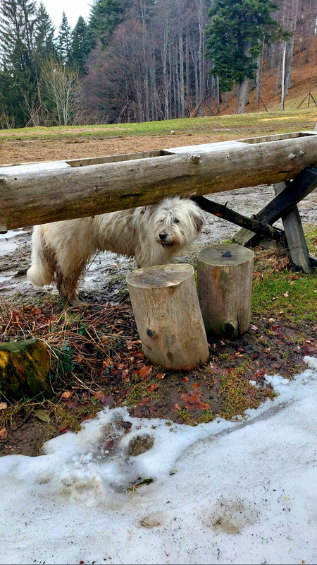 IMG-20230401-WA0050(2)